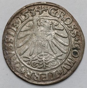 Sigismund I the Old, Torun 1534 penny - with hair - PRVSSI