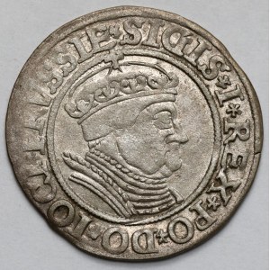 Sigismondo I il Vecchio, Grosz Toruń 1534 - in cappellino
