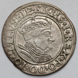Sigismund I the Old, Torun penny 1534 - in a cap