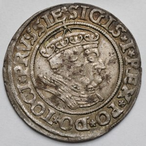 Sigismund I the Old, Penny of Toruń 1535