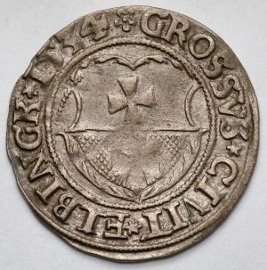 Sigismund I the Old, Elblag 1534 penny - ElbinGK