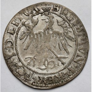 Sigismondo I il Vecchio, centesimo di Vilnius 1536 - lettera I - ILLUSTRATO