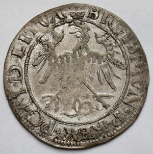 Sigismund I the Old, Vilnius penny 1536 - letter I - ILLUSTRATED