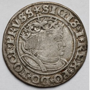 Zygmunt I Stary, Grosz Toruń 1532