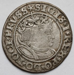 Sigismund I the Old, Penny of Toruń 1532