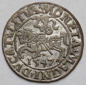 Sigismund II Augustus, Half-penny Vilnius 1547