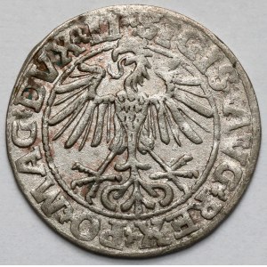 Zygmunt II August, Półgrosz Wilno 1550