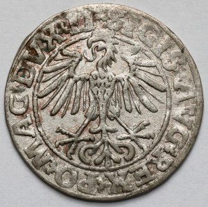 Sigismund II Augustus, Half-grosz Vilnius 1550