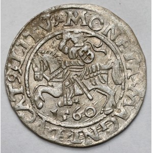 Sigismondo II Augusto, mezzo penny Vilnius 1560