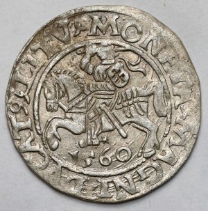 Sigismund II Augustus, Half-penny Vilnius 1560
