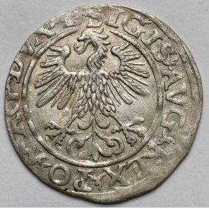 Sigismondo II Augusto, mezzo penny Vilnius 1560