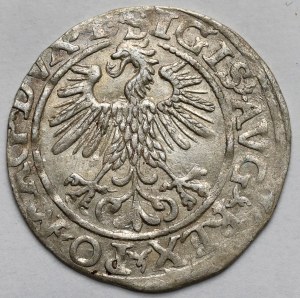 Sigismund II Augustus, Half-penny Vilnius 1560