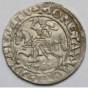 Sigismondo II Augusto, mezzo penny Vilnius 1561