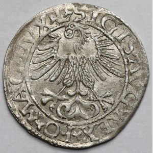 Sigismondo II Augusto, mezzo penny Vilnius 1561