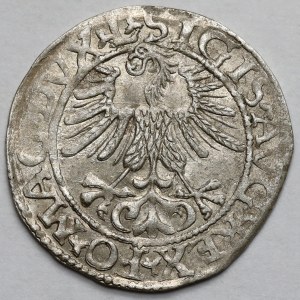Sigismund II Augustus, Half-grosz Vilnius 1561