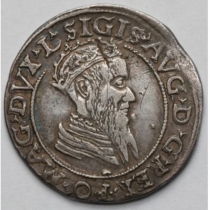 Zygmunt II August, Czworak Wilno 1569 - rzadki