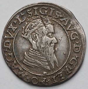Zygmunt II August, Czworak Wilno 1569 - rzadki
