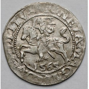 Sigismondo II Augusto, mezzo penny Vilnius 1565
