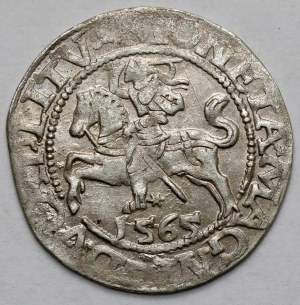 Sigismund II Augustus, Half-penny Vilnius 1565