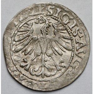 Sigismondo II Augusto, mezzo penny Vilnius 1565