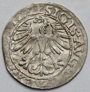 Sigismund II Augustus, Half-penny Vilnius 1565