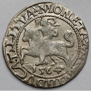 Zygmunt II August, Półgrosz Wilno 1564