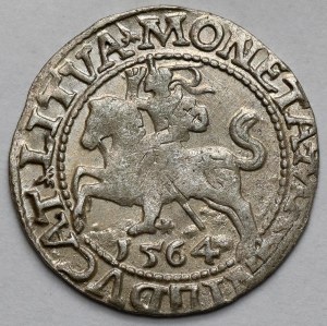 Sigismund II Augustus, Half-penny Vilnius 1564