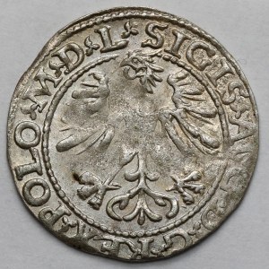 Sigismund II Augustus, Half-penny Vilnius 1564