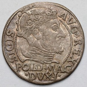 Sigismund II Augustus, Grosz per Polish foot 1547, Vilnius