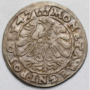 Sigismondo I il Vecchio, penny di Cracovia 1547 ST - molto bello