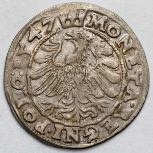 Zikmund I. Starý, Krakovský groš 1547 ST - velmi pěkný