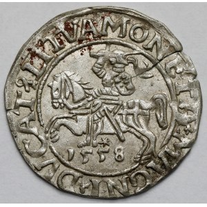 Sigismondo II Augusto, mezzo penny Vilnius 1558