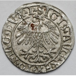 Sigismondo II Augusto, mezzo penny Vilnius 1558