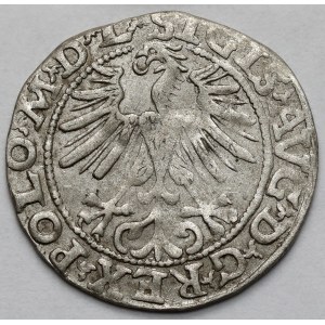 Sigismondo II Augusto, mezzo penny Vilnius 1563
