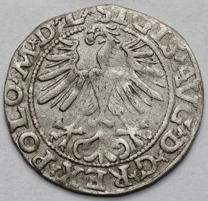 Sigismund II Augustus, Half-grosz Vilnius 1563