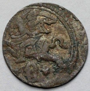 Zikmund III Vasa, Dvounohý Vilnius 1620