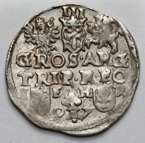Sigismund III Vasa, Trojak Poznań 1597