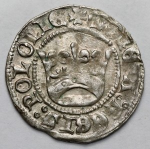 Alexander Jagiellonian, Half-penny Cracow