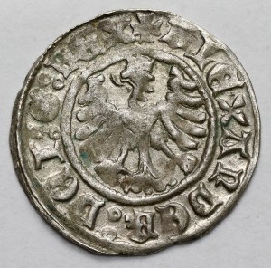 Alexander Jagiellonian, Half-penny Cracow