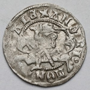 Alexander Jagiellonian, Vilnius Renaissance half-penny