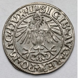 Zygmunt II August, Półgrosz Wilno 1549
