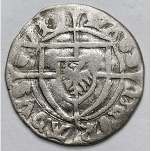 Ordine Teutonico, Konrad von Erlichshausen, Shelburne
