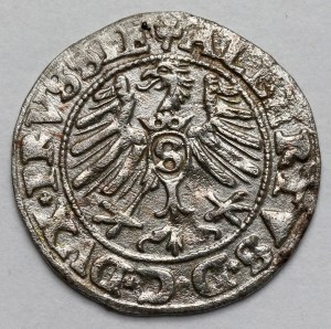 Prusko, Albrecht Hohenzollern, Königsberg 1550
