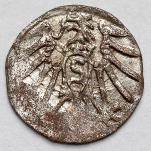 Prussia, Albrecht Hohenzollern, Königsberg denarius no date