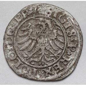 Sigismondo I il Vecchio, Elbląg 1532