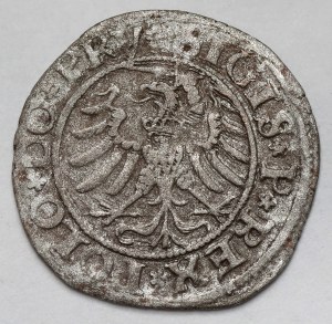 Sigismund I the Old, Elblag 1532