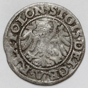 Sigismund I the Old, Shelag Gdansk 1547
