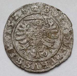 Sigismund I the Old, Szeląg Toruń 1528