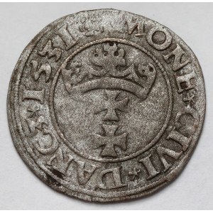 Zygmunt I Stary, Szeląg Gdańsk 1531