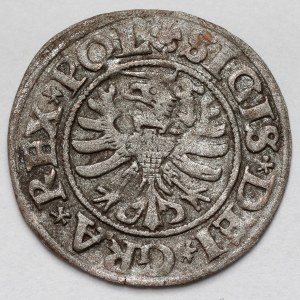 Sigismund I the Old, Shelag Gdansk 1531